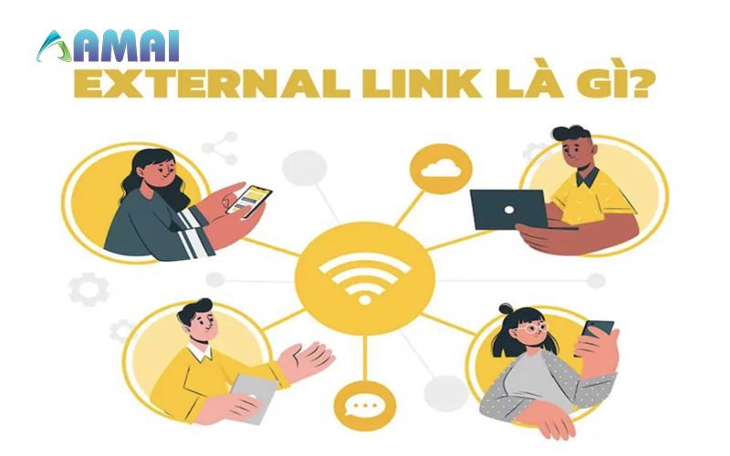 External links là gì