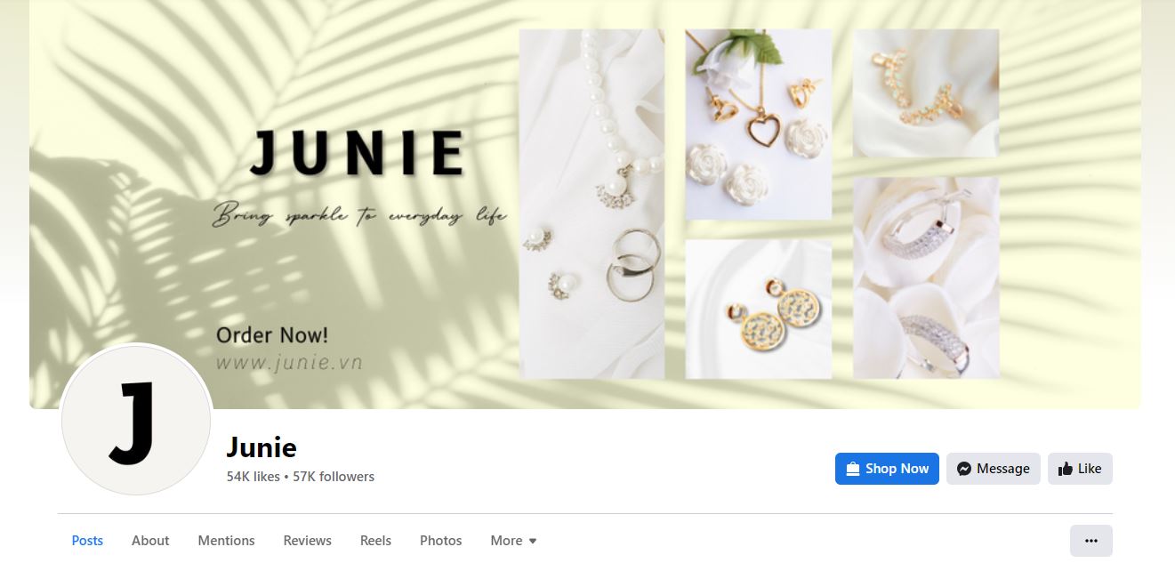 Chăm sóc Fanpage Junie