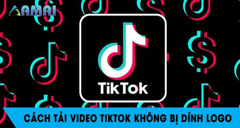  Giải đáp thắc mắc khi dùng app tải video TikTok không logo trên Iphone  
