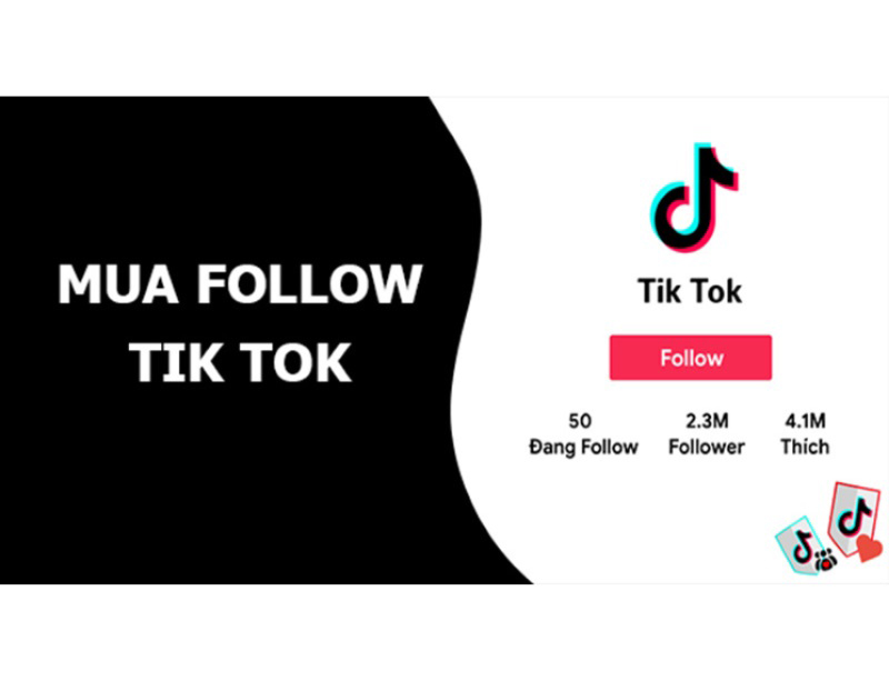 Giới thiệu chung về dịch vụ mua follow TikTok