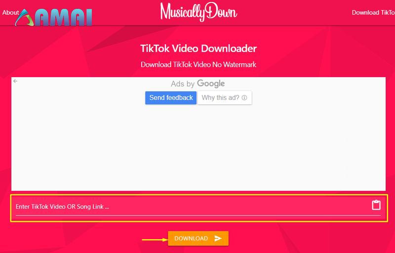 App tải video TikTok không logo trên Iphone Musically Down