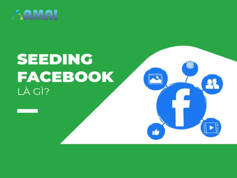 Giới thiệu Seeding Facebook là gì?