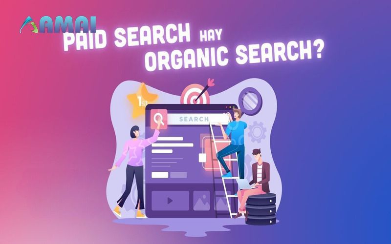 Paid search là gì Nên lựa chọn Paid Search hay Organic Search