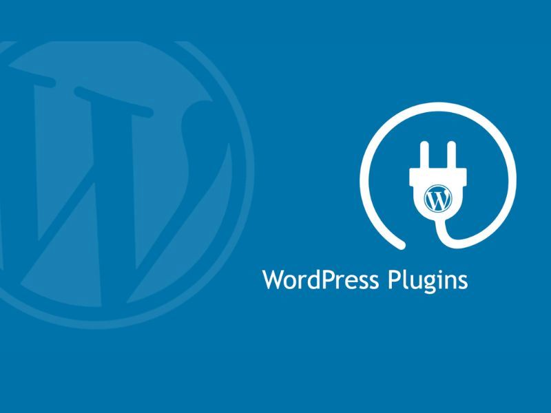 Plugin trên wordpress được hỗ trợ đa dạng