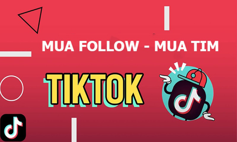 Cách sử dụng dịch vụ mua follow TikTok của AmaiAgency