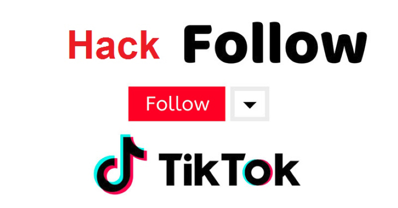 Dịch vụ hack follow TikTok