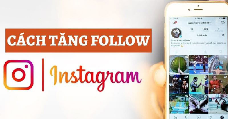 Cách tăng follow Instagram của AmaiAgency