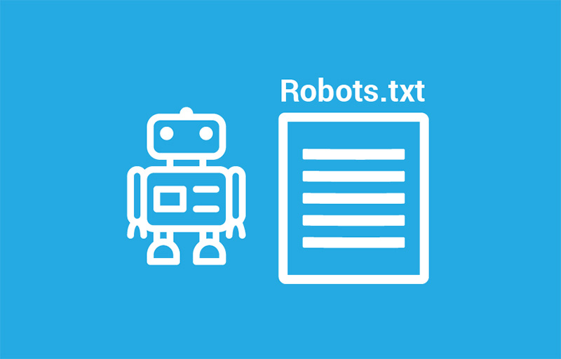 File robot txt là gì?