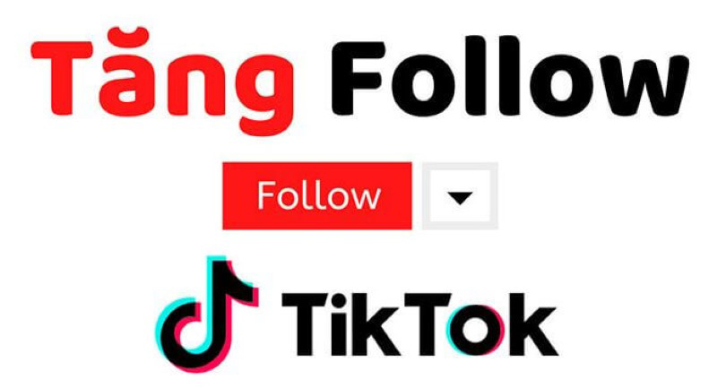 Một số lưu ý khi sử dụng dịch vụ follow TikTok