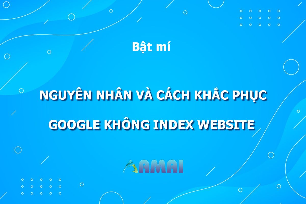 Google Không Index Website