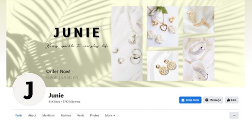 Chăm sóc Fanpage Junie